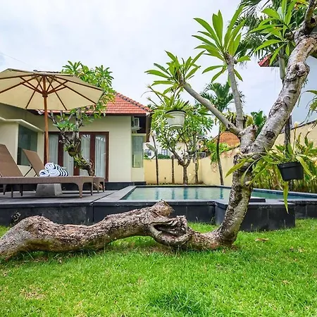 Lucky Lily Villa